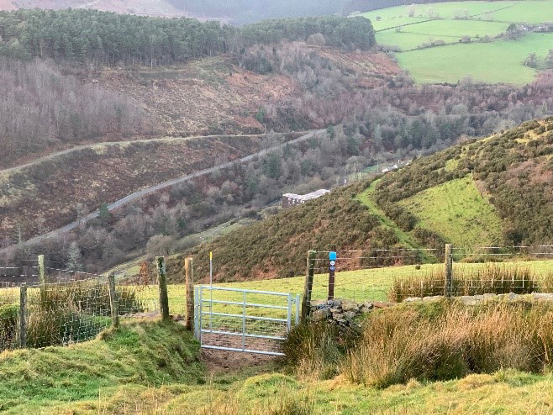 Llwybr 21