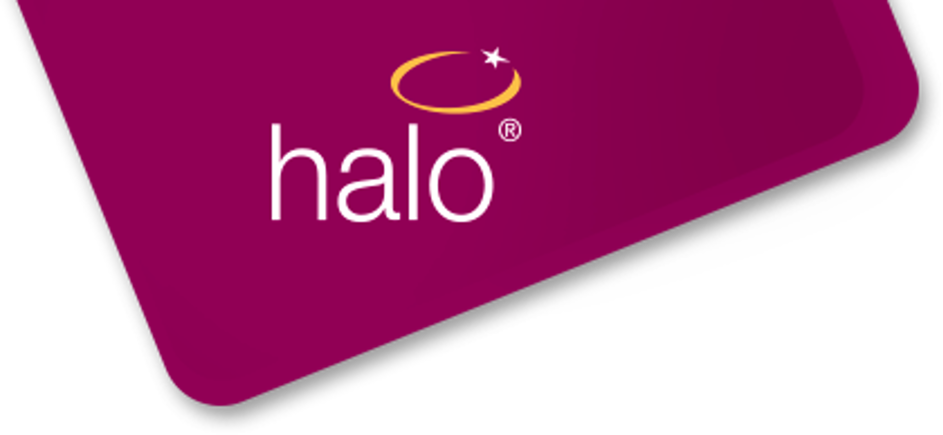 Logo Halo Leisure